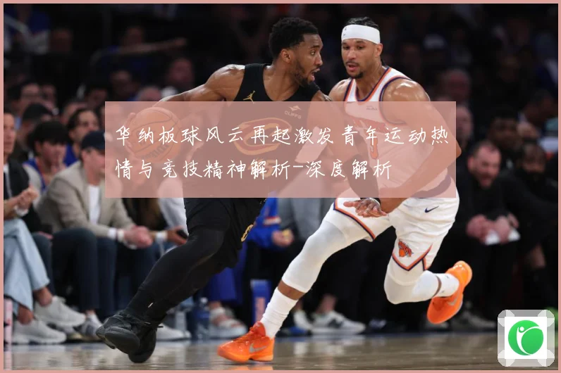 华纳板球风云再起激发青年运动热情与竞技精神解析-深度解析