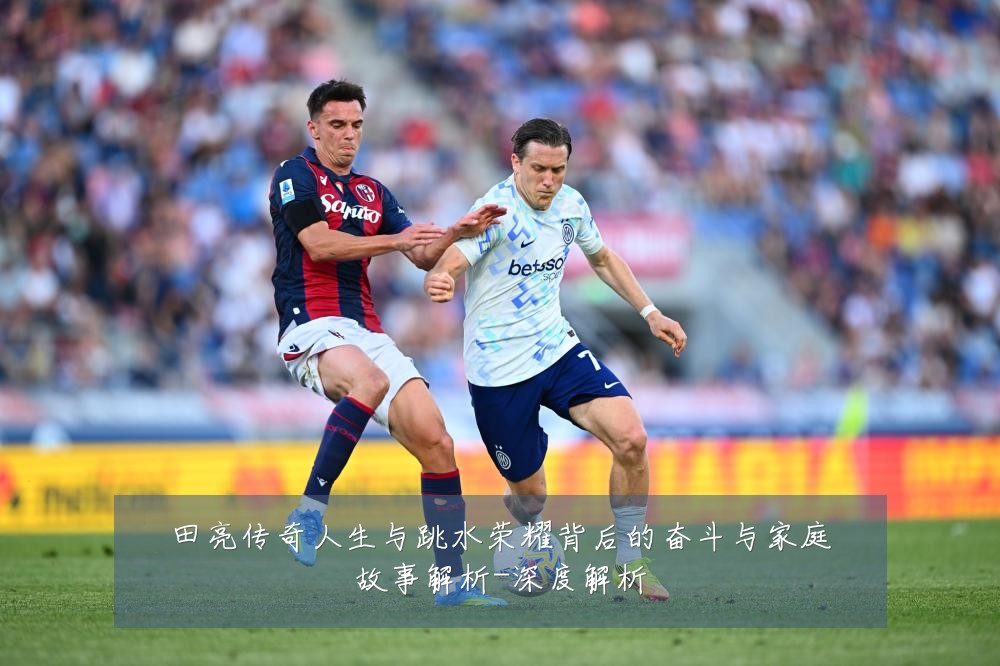 田亮传奇人生与跳水荣耀背后的奋斗与家庭故事解析-深度解析