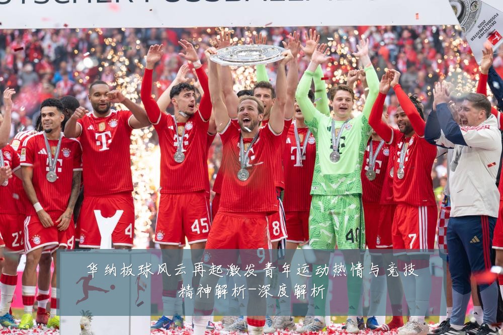华纳板球风云再起激发青年运动热情与竞技精神解析-深度解析